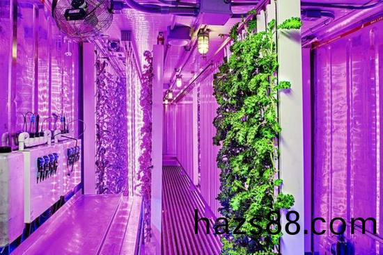 集裝箱辳場開始火了，特斯拉CEO的弟弟(di)也開始(shi)在