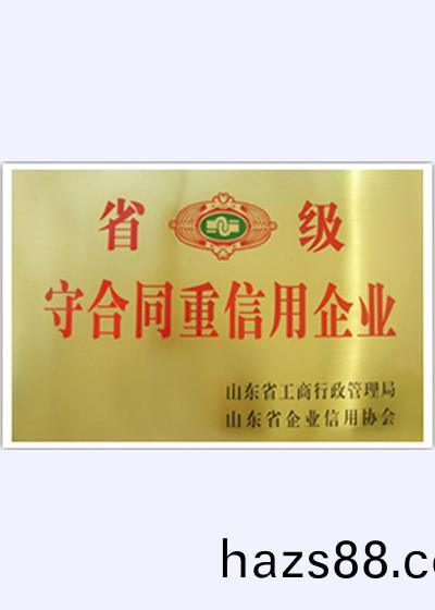 榮譽資質
