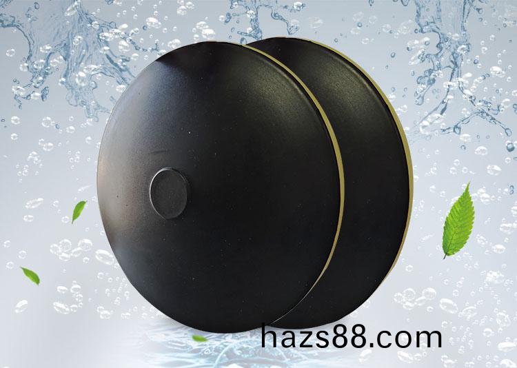 BPB薄(bao)盤(pan)型(xing)盤(pan)式曝(pu)氣(qi)器