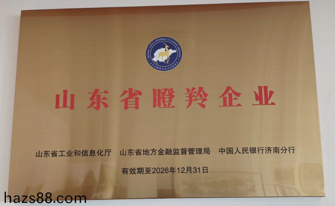資質(zhi)榮譽